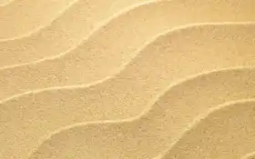 дерево, примеры