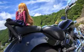 кукла, мотоцикл, велосипед