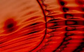 тенолы, вертикальные