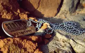 преследователь, ясень, ясень