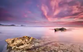 крымский, розовый, море