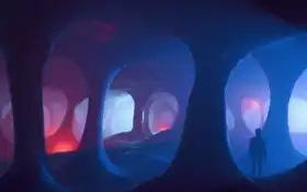 пчелиный, пухлый, муж