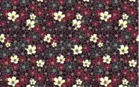 брюнетки, брюнетки