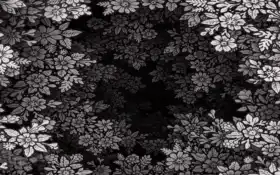 рисунок, цветок, черный