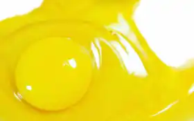 яйцо, желток, фото