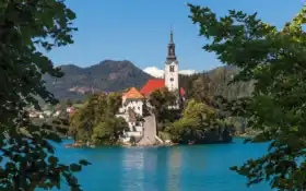 slovenia, собака, funart