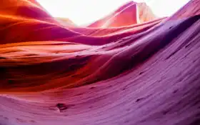 цвет, публика, фиолетовый