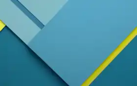 дерево, лес, лес