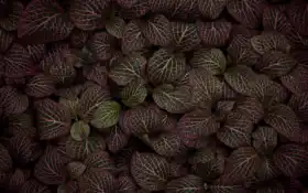 пряжа, производственный, оплата