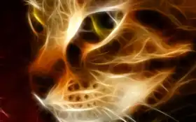 кот, животное, он