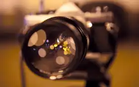 сосредоточься, обьектив, сосредоточься