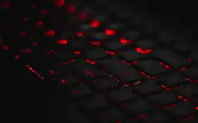 gnet, fundo, youtube