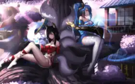 обложка, ахр, карта