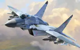 модель, миг, сборная