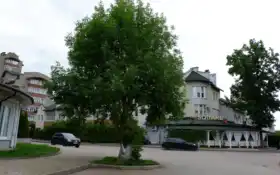 отель, камра, кампания