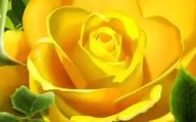 большие, светлые, желтые