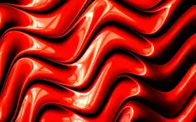 фото, телефон