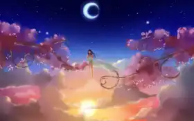 звезды, звезды