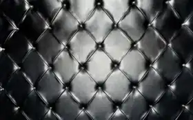 кожа, запись, сетка