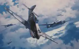 "боевой ястреб", Кертисс, искусство