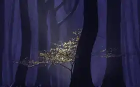 дизайн, цвет, мак