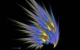 мероприятие, веб