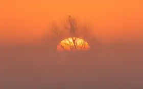 зрелые, запертые, красный