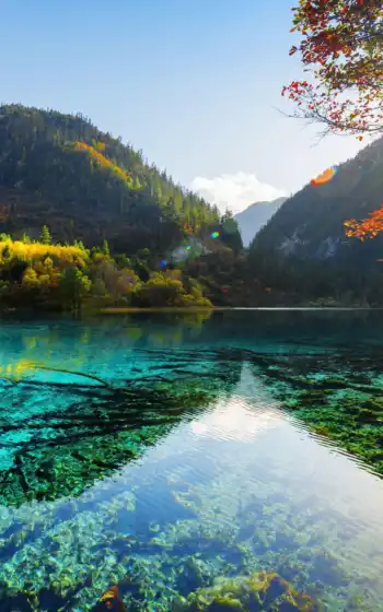 озеро, парк, осень, гора, Китай