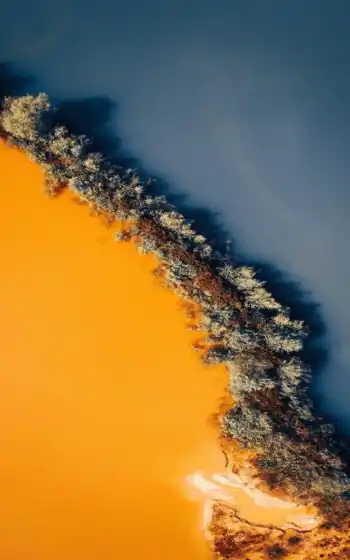 ясно, зелень, деревья, желтый, синий