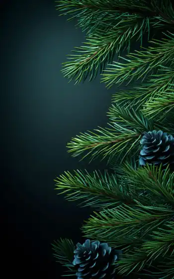 дерево, нопуэдес, авила, пинтерестхороший, идея, доска, фон, фон, стрелять, деревянный, рождество