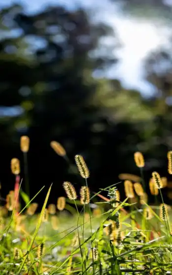 обои на рабочий стол, красивые картинки, картинки для ipad, обои для android