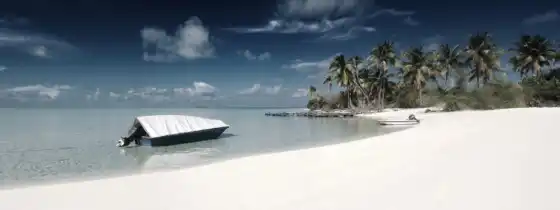 plage, соболь, blanc, море, пляж, palm, ocean, песок, water