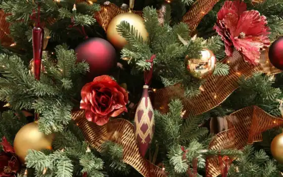 новогодние, елки, елку, новогоднюю, бесплатные, дерево, новогодняя, 