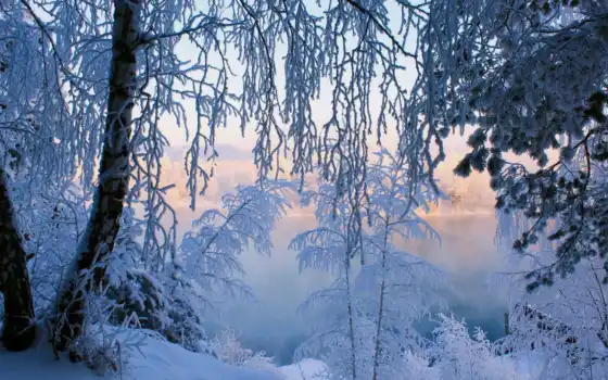 зима, лес и тишина, горный