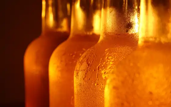 пиво, бутылки, стекло, капли, cerveja, напиток, картинка, botles, refill, бутылка, охлажденное, бутылках, кнопкой, 
