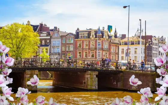 мост, amsterdam, река, нидерланды, цветы, veneza, carnaval, allard, весна
