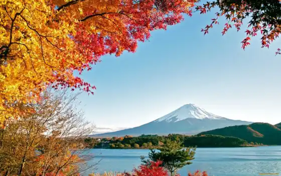 фудзияма, осень, деревя, горы, озеро, природа, картинка, 