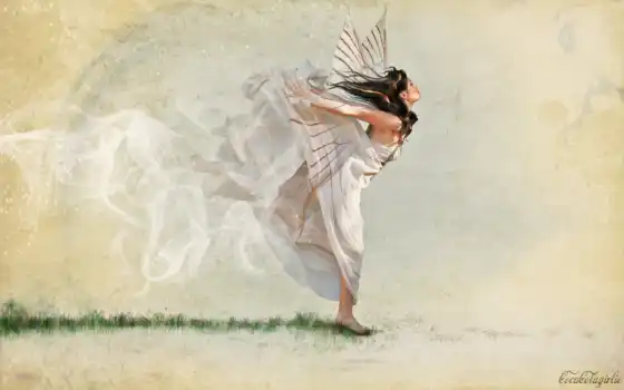 человек, ангела, крыло, рисунок, девушка, ветер, муха
