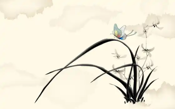 trang, бабочка, чертеж, цвет
