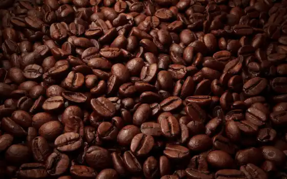 кофе, коричневый, кофейный, эда, капля, тег