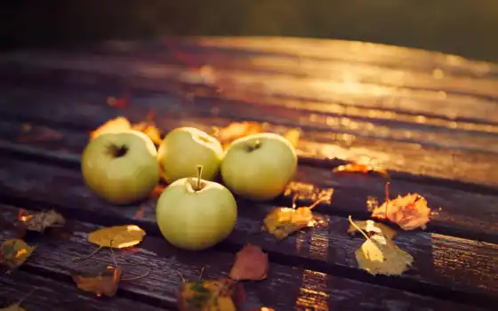 яблоки, осень, урожай, листья, картинка, картинку, 