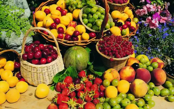плод, еда, растительный, плакат
