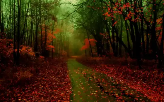 лес, осень, дорога, туман, природа, листья, дороги, 
