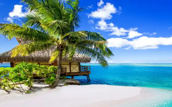 pinterest, plaja, путешествие, tahiti, обычно, натуральные, свет, мара, компания, тропические,