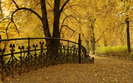 осень, парк, листья, деревья, картинка, 