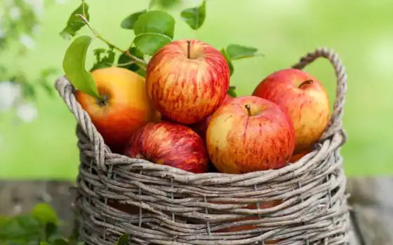 , фуне, яблоко, пены, есть, рефераты, рефераты, двойные, с ручками, натуральные, органические,