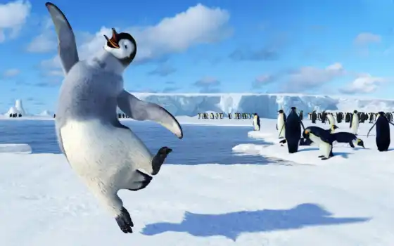 пингвин, антарктида, целый