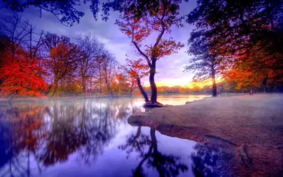 озеро, природа, дерево, осень, перед, пасти