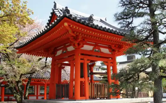 kyoto, travel, sanjusangendo, япония, guidesanj-sangen, ren, soh