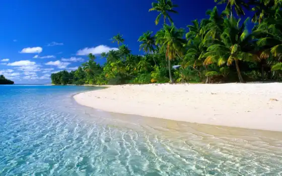 playas,loves, pantalla, imagenes, paradisiacas, playa, con, paradisíacas, paradisíaca,loveo,